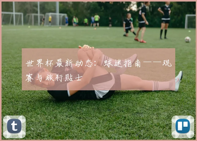 世界杯最新动态:球迷指南——观赛与旅行贴士