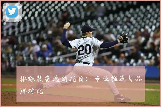 排球装备选购指南：专业推荐与品牌对比