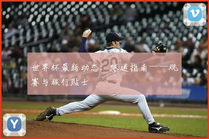 世界杯最新动态：球迷指南——观赛与旅行贴士